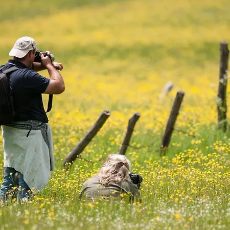 Iris ホテル ペスカッセーロリ
